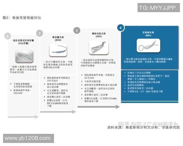 聚焦北京篮球队个人能力提升与团队协作的深度探讨与分析